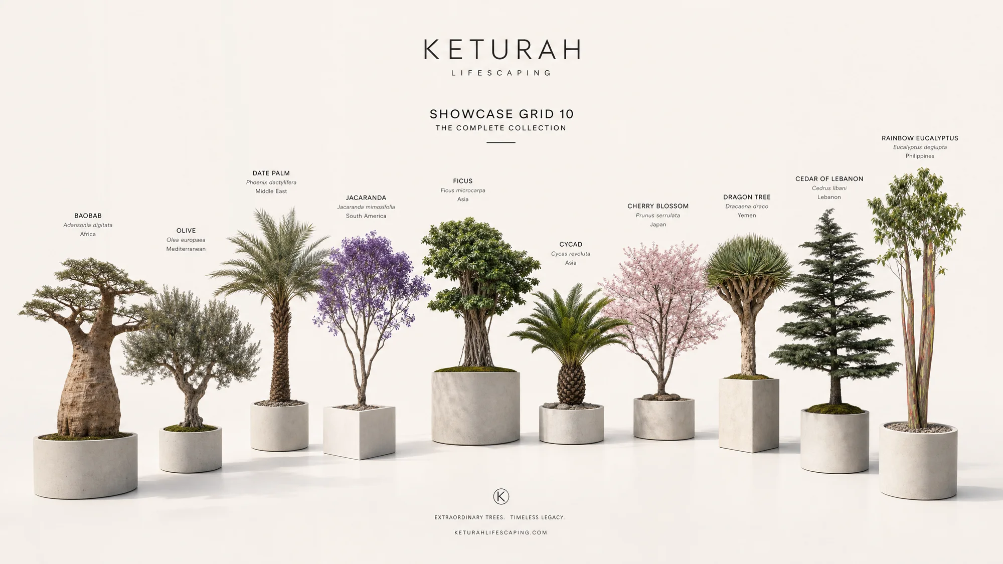 The complete Keturah collection
